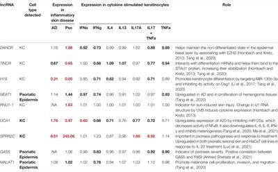 Skin-Expressing lncRNAs in Inflammatory Responses